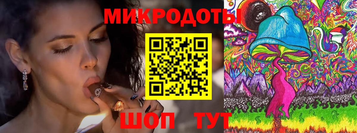 Псилоцибиновые грибы мицелий Люберцы